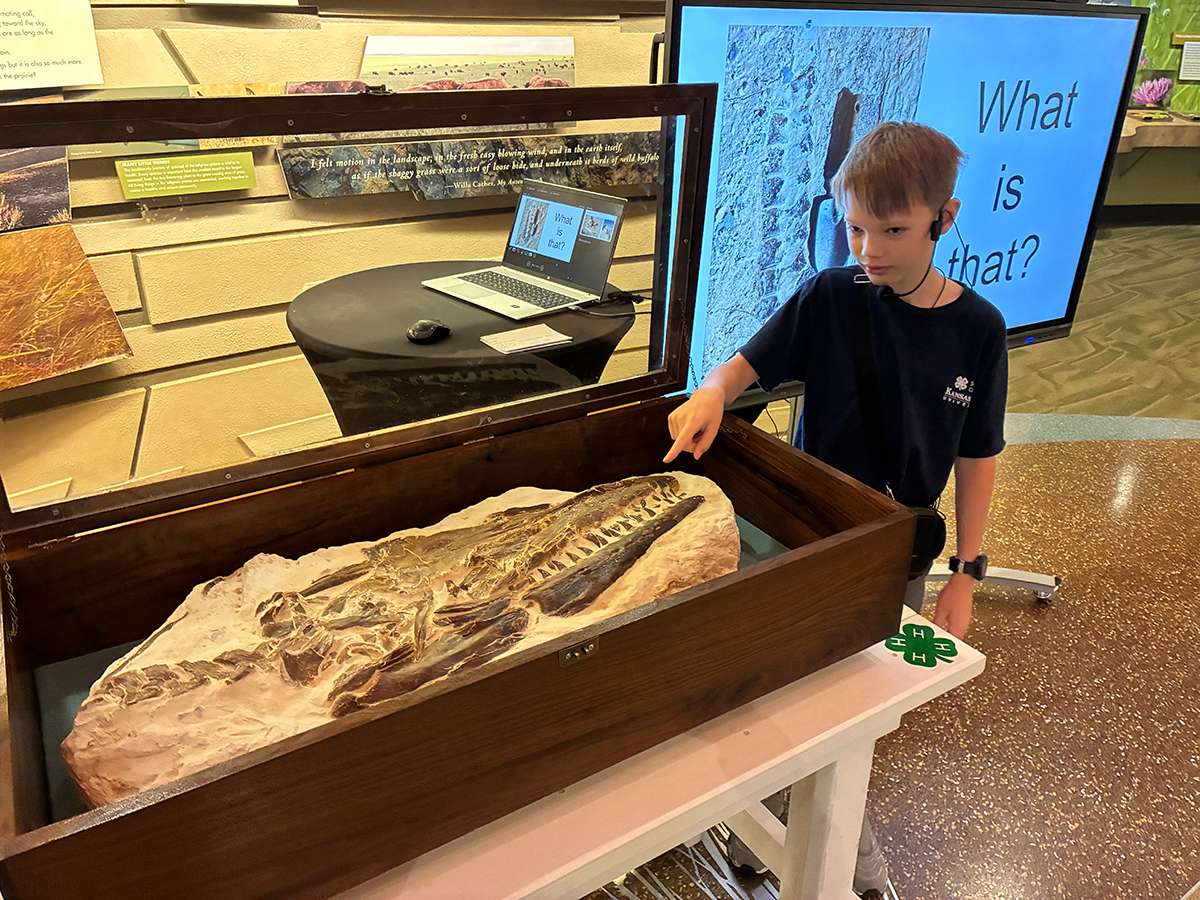 Corbin Bullard displayed his fossil discovery at the Flint Hills Discovery Center.