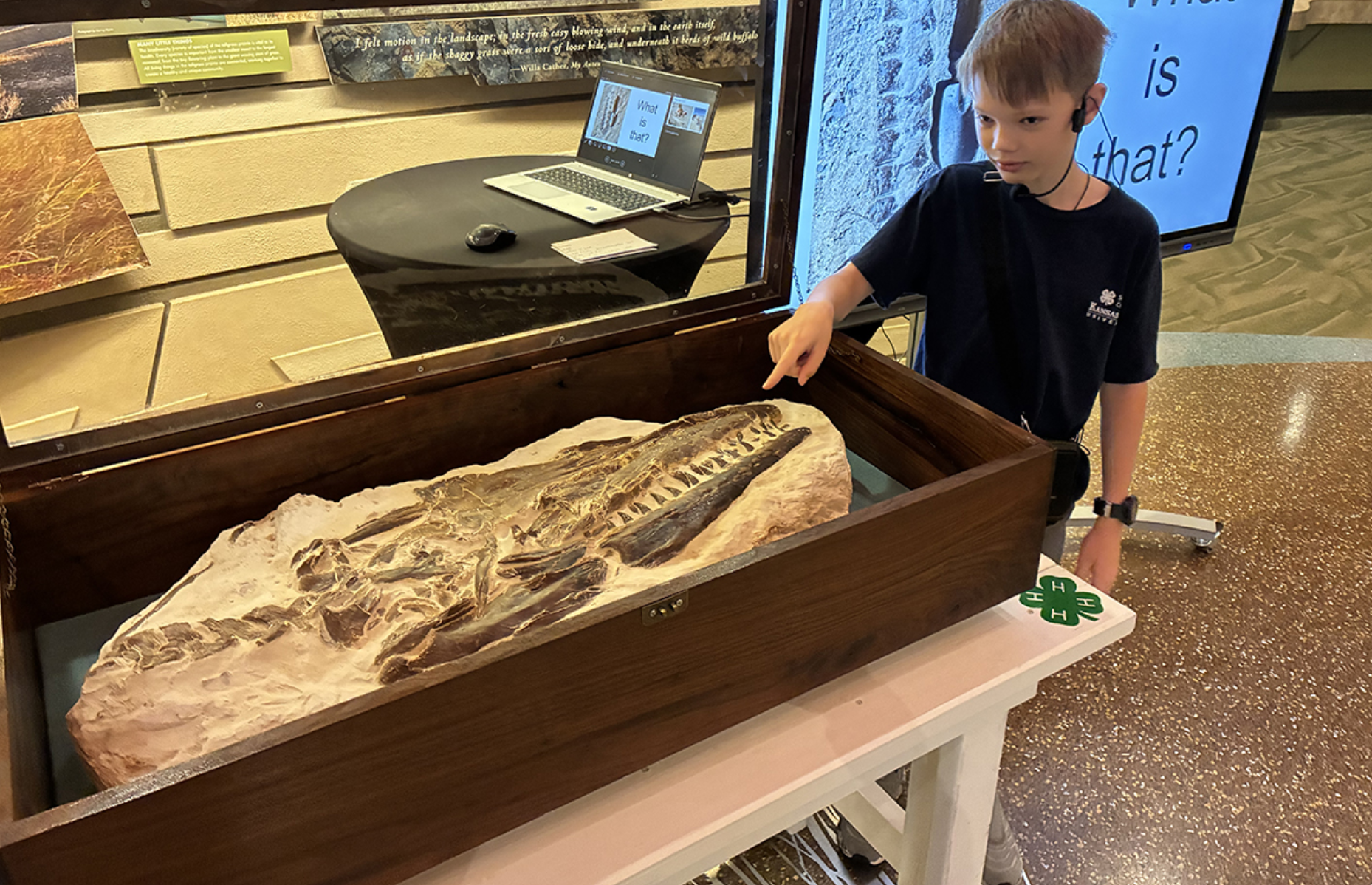 Bullard displayed his fossil discovery at the Flint Hills Discovery Center.