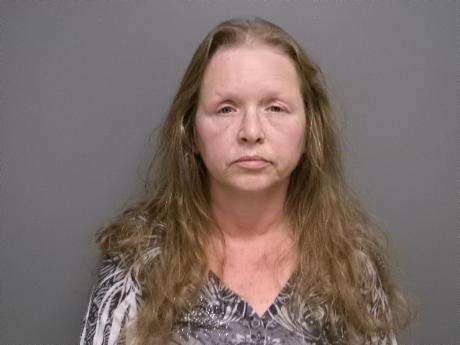 <b>Rebecca Ann Harm - DUI-2nd, Driving During Suspension/Revocation, Driving Left of Center Line</b>