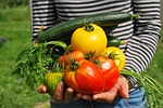 Rotating crops this fall can set garden up for success next spring