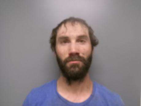 <b>Dakota Levi Andrews - Buffalo County Bench Warrant-Failure to Appear-Possess Controlled Substance, Bench Warrant-Improper/Defective Vehicle Lighting, Bench Warrant-Failure to Display Plates, Bench Warrant-No Valid Registration, Bench Warrant-Possess or Use Drug Paraphernalia, Possess Meth, Possess Drug Paraphernalia </b>