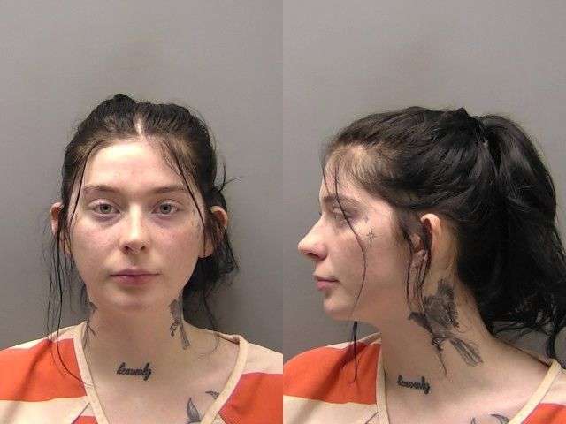 YOUNT MADISON DOM ASSAULT 5000 BOND