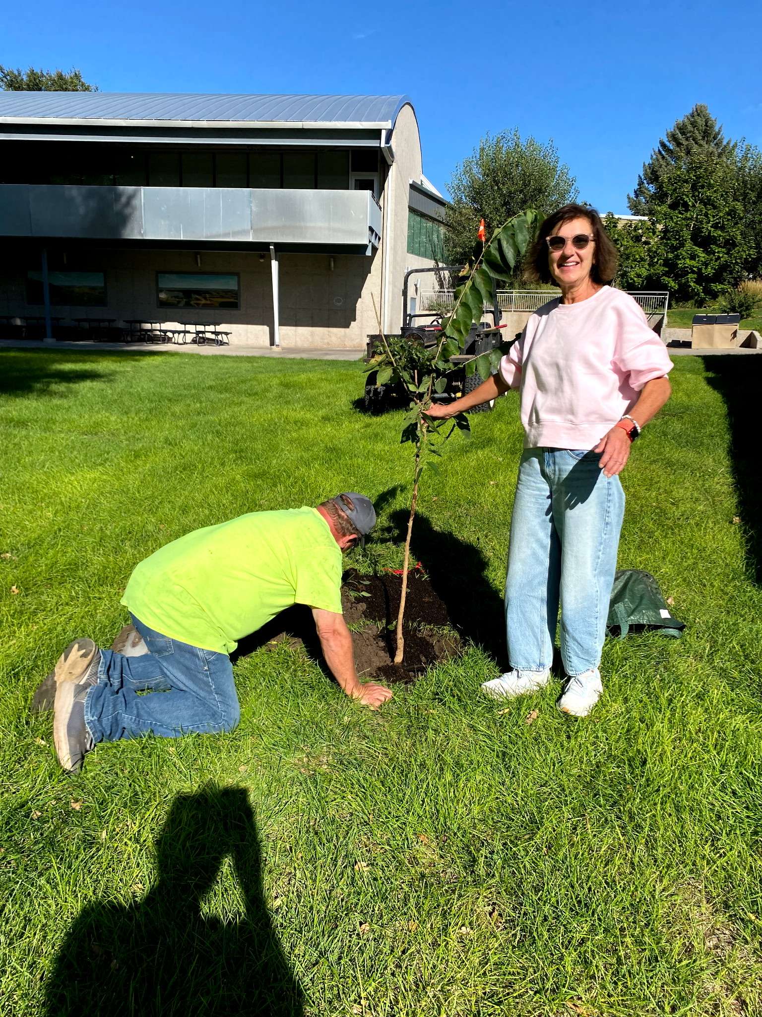 Tree Planting 