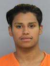 <b>Jonathan Antonio Evo - Domestic Violence Assault-3rd/Cause Bodily Injury/Pregnant Woman</b>