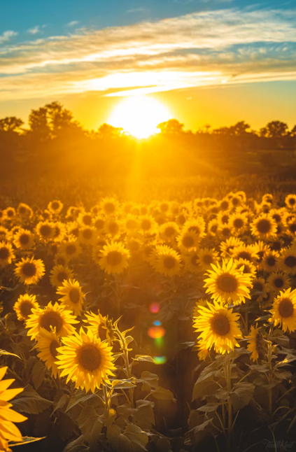 Photo by Unsplash