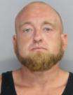 <b>Derek Joseph Standlea - Commit Child Abuse Negligently/Serious Injury</b>