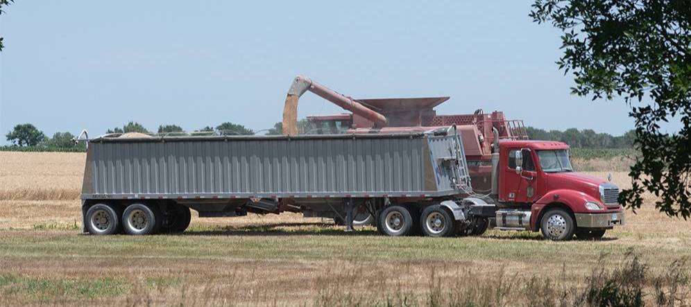 &nbsp;Photo by Dan Donnert-K-State Extension
