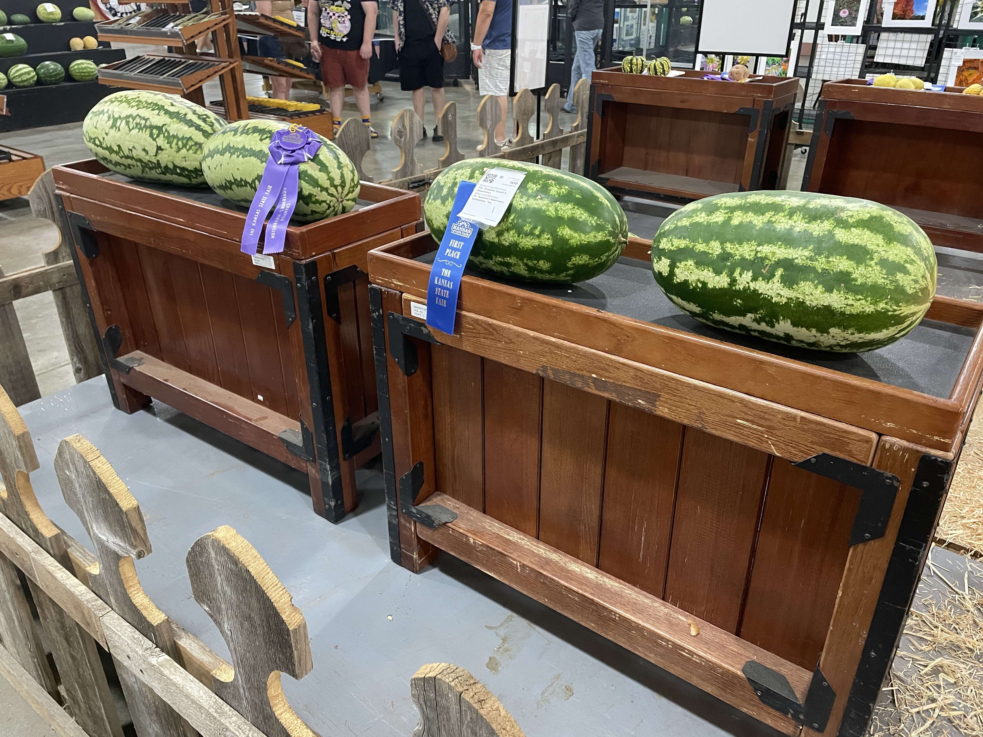 DeWerff's award-winning watermelons were displayed in the Pride of Kansas building, next to the largest watermelons and pumpkins and directly across from the annual butter sculpture.