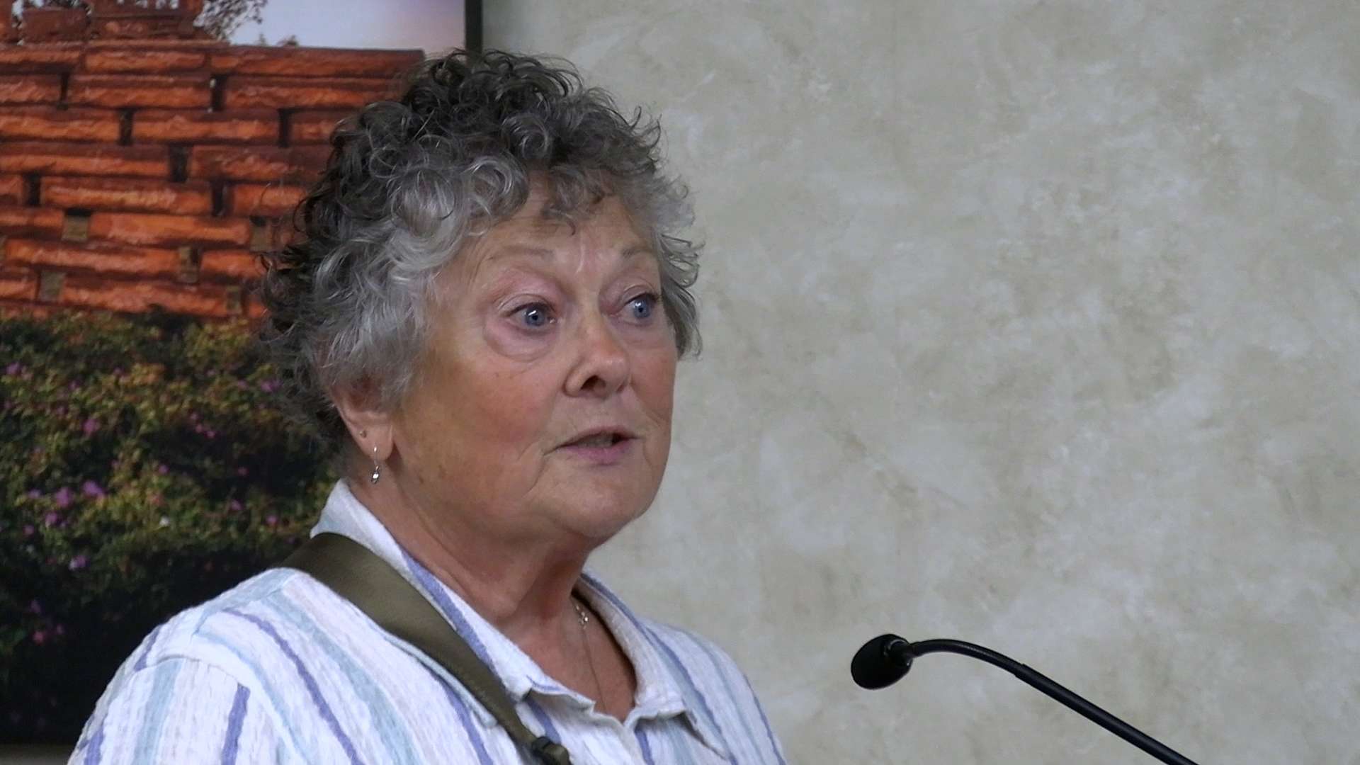 Cathy Van Doren suggested "diminishing athletics" at FHSU as a cost-saving measure. Photo by Becky Kiser/Hays Post