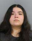 <b>Bobbi R Perez - Domestic Violence Assault-3rdCauseBodily Injury, Commit Child Abuse Negligently/No/Minor Injury, Warrant Failure to Appear</b>