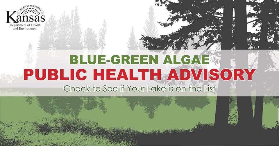 Blue-Green Algae Public Health Advisory