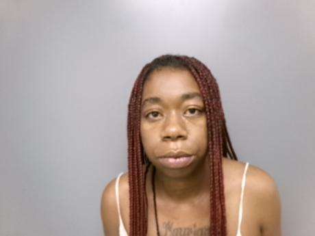 <b>Marshareese M Johnson - Resisting Arrest, Criminal Mischief, Obstructing a Police Officer</b>