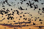 Nebraskaland photo contest begins Oct. 1
