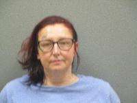 <b>Licia Lynn Fields - Shoplifting</b>